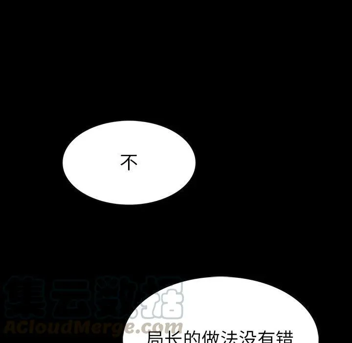 41 第17页