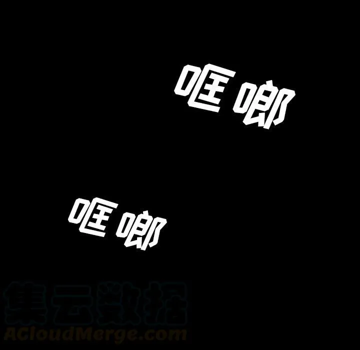 41 第61页