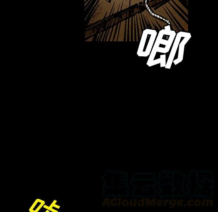 41 第113页