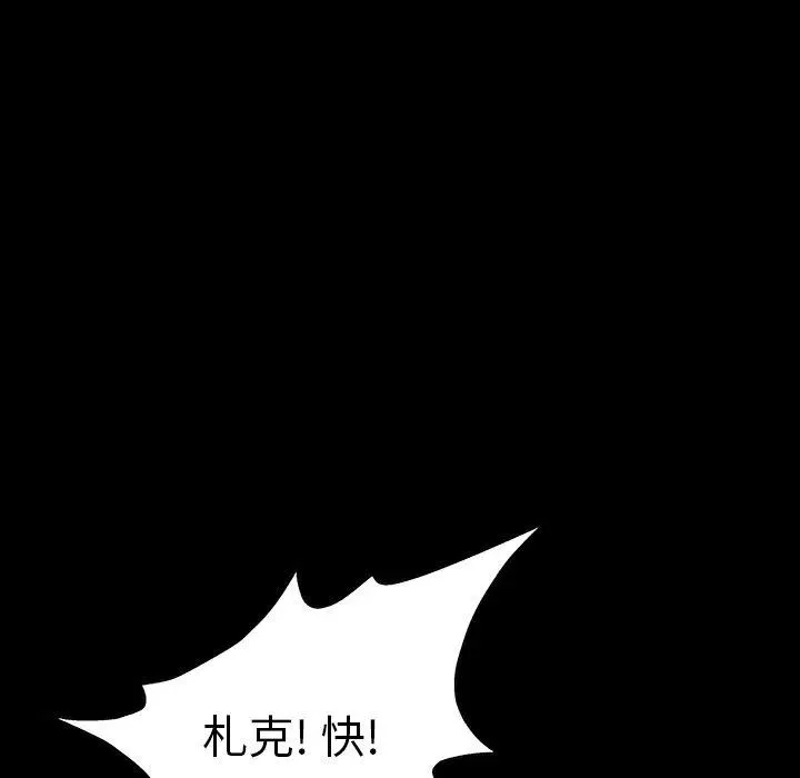 41 第116页