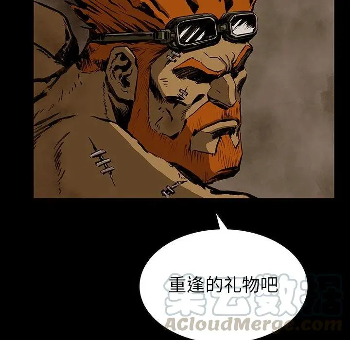 26 第43页