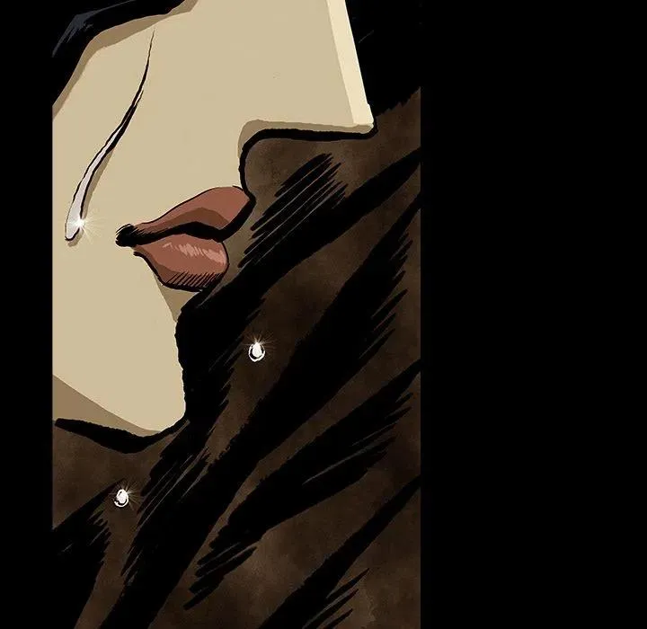 24 第62页