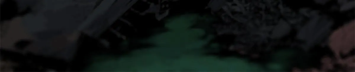 082 献宝 第13页