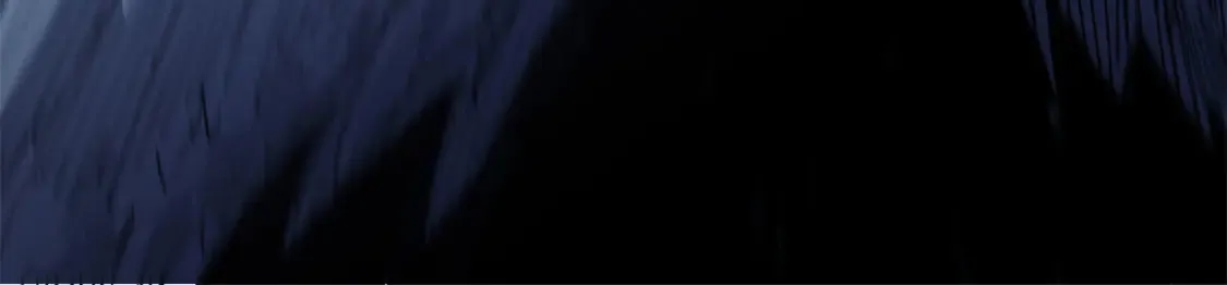 006 阴兵借道 第30页