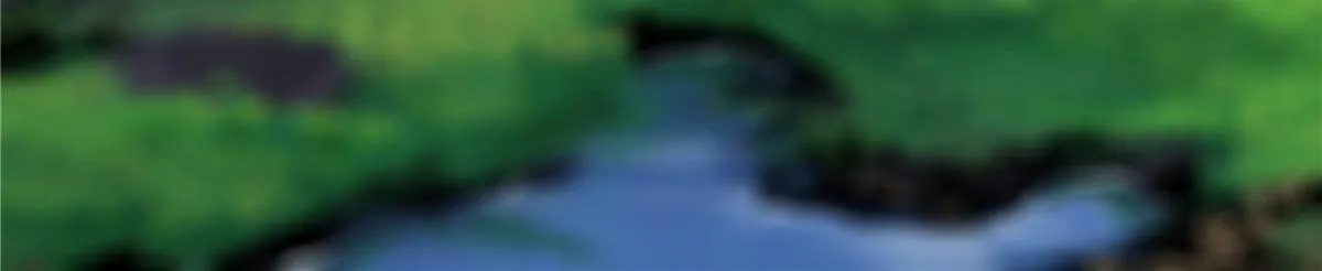 044 通灵宝镜 第15页