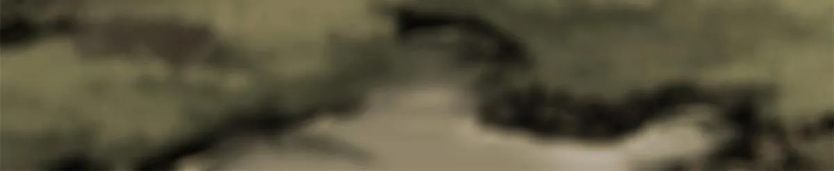 039 偷袭 第7页