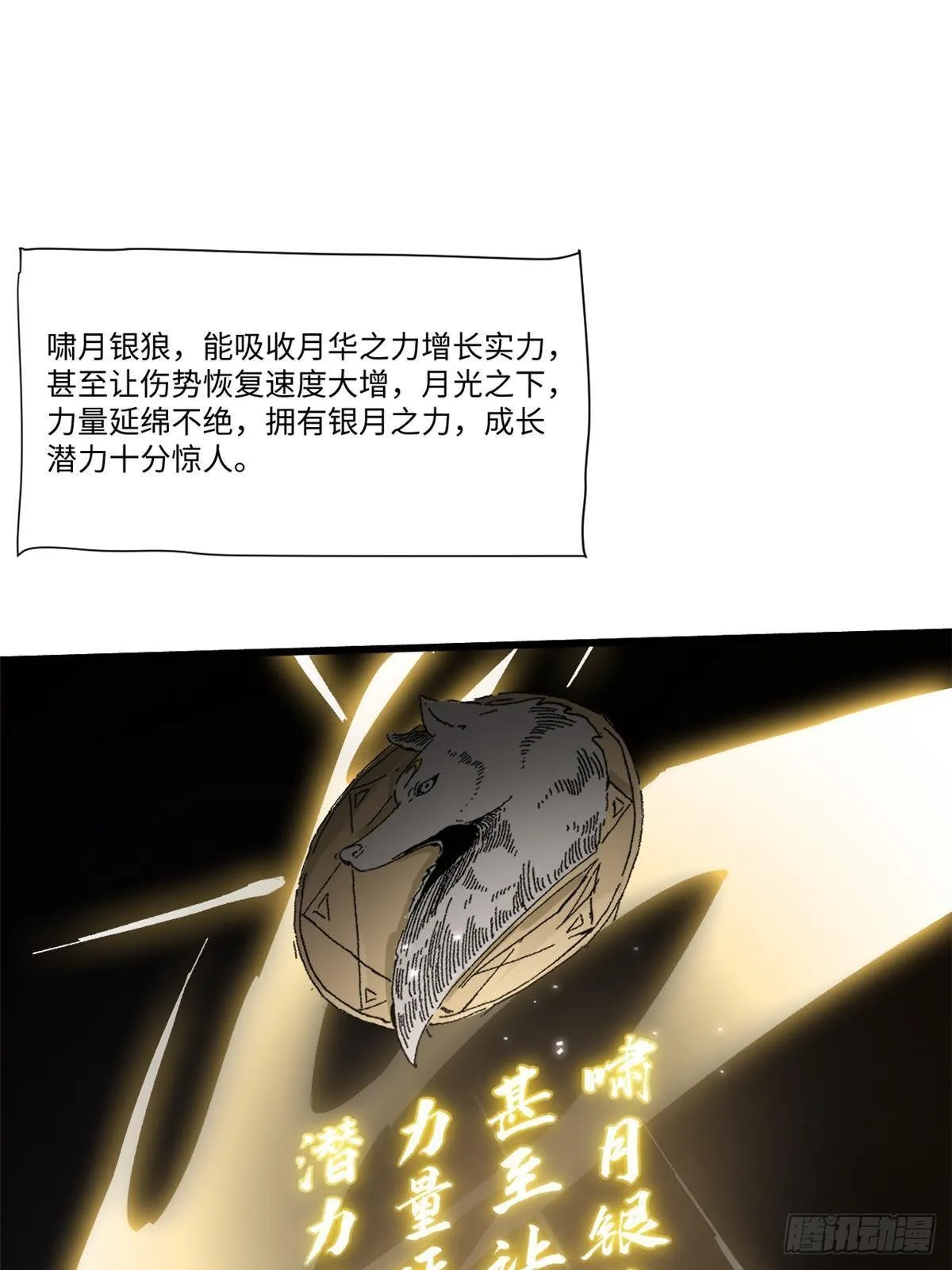 025 啸月银狼 第38页