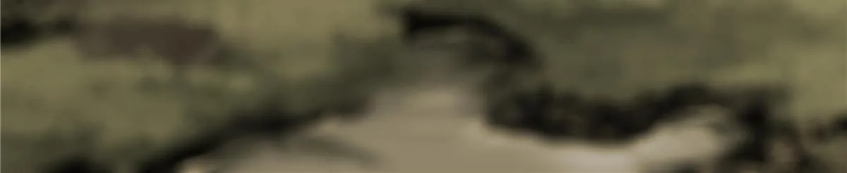 046 天籍卡 第12页
