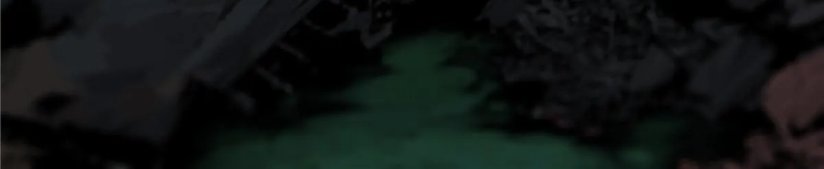 045 永恒币 第11页