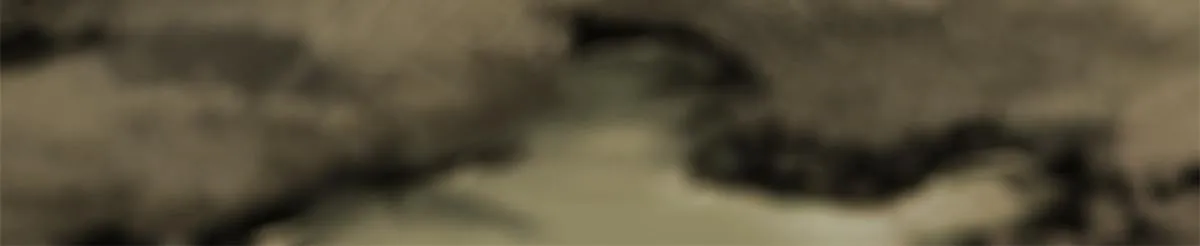 060 金雕 第8页