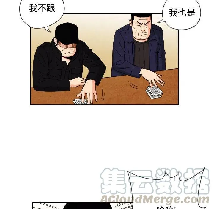 75 第31页