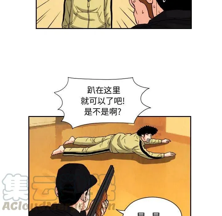 71 第55页