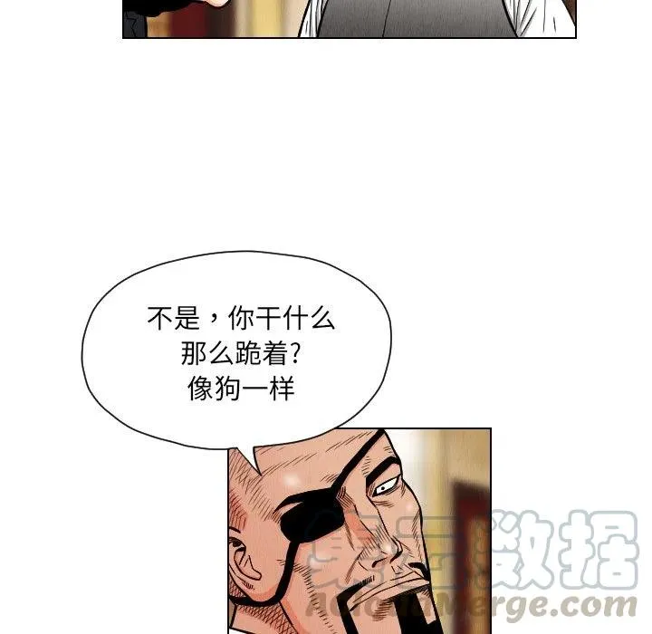 20 第43页