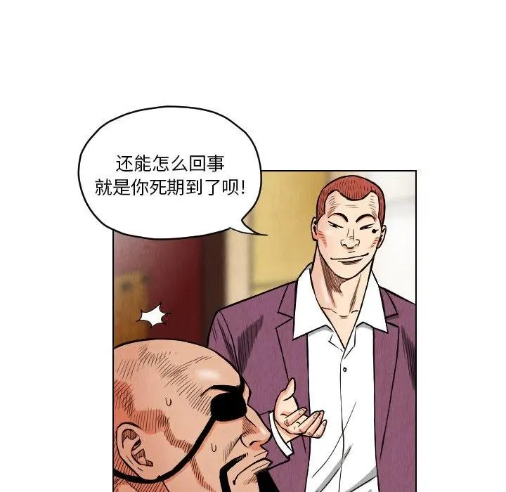 20 第48页