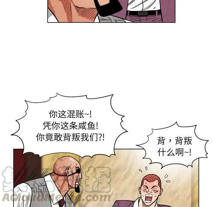20 第49页