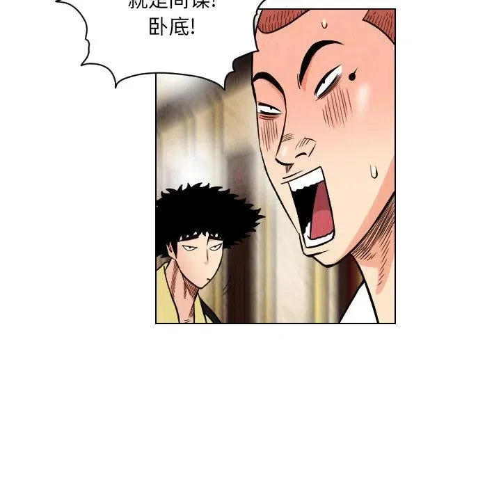 20 第51页