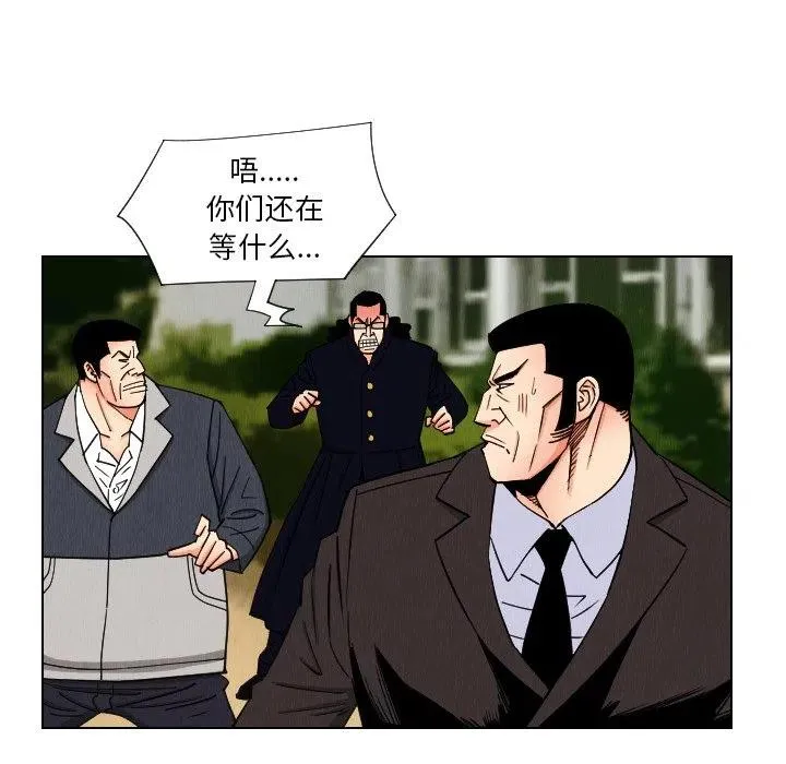 33 第56页
