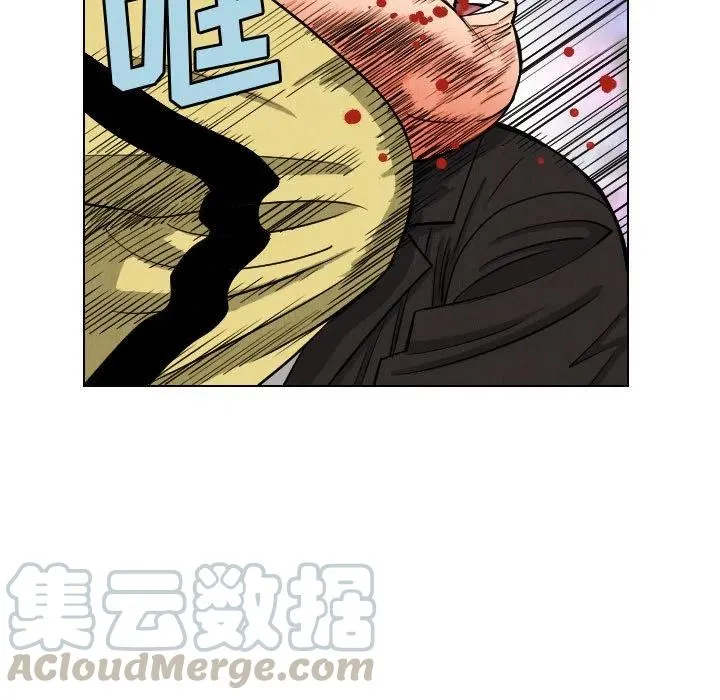 48 第7页