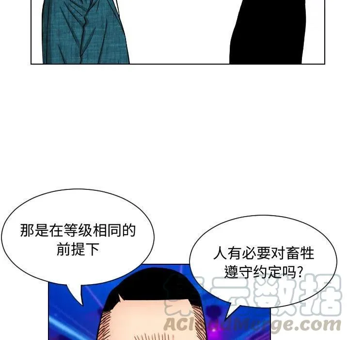 48 第43页
