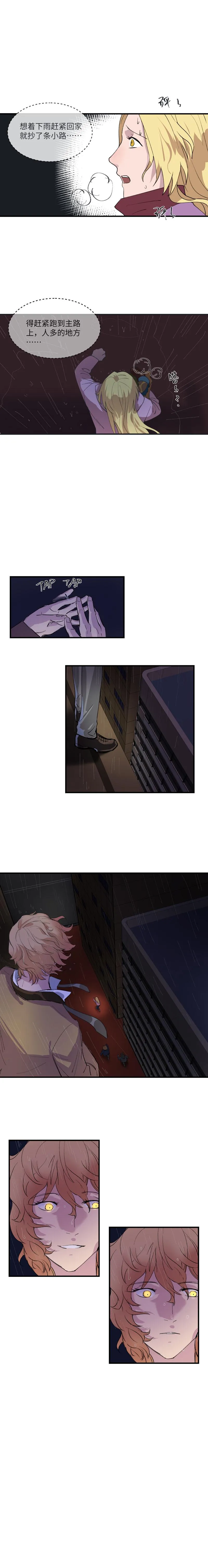 13 第3页