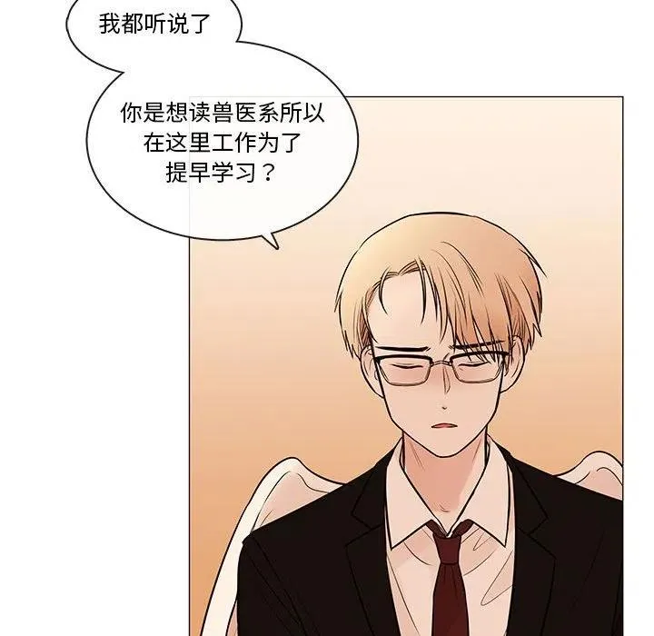 89 第62页