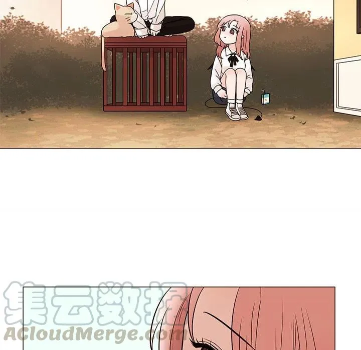 85 第17页