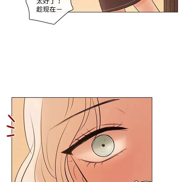 82 第43页