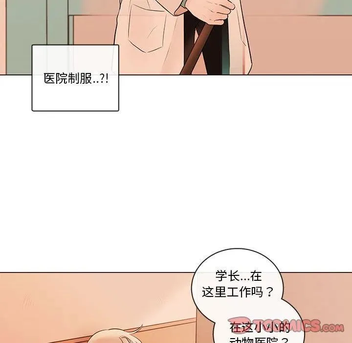 82 第56页