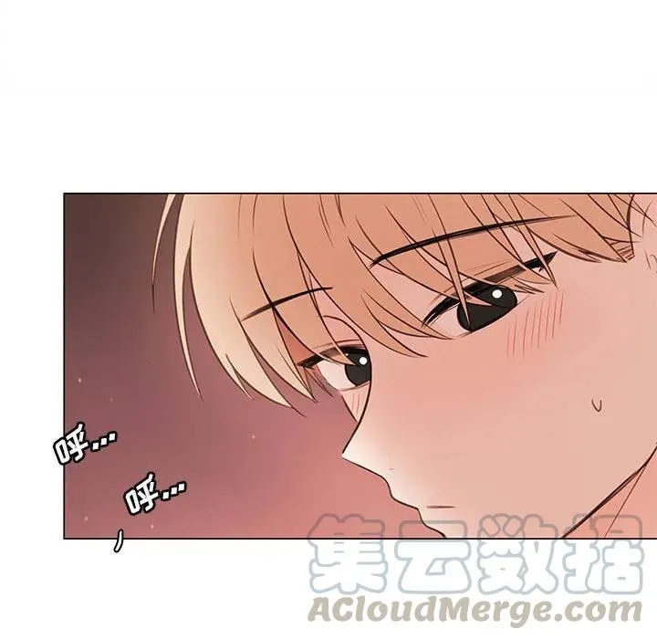 81 第31页