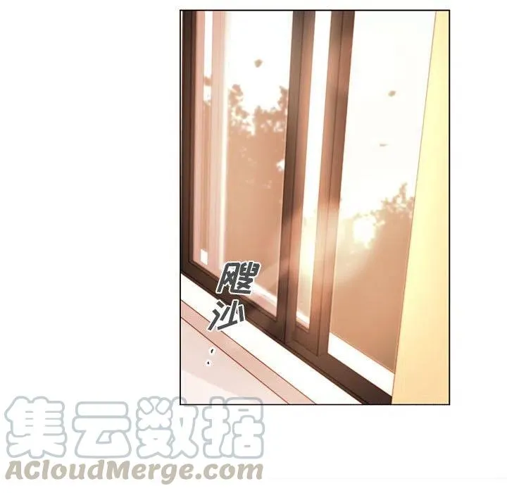 81 第88页
