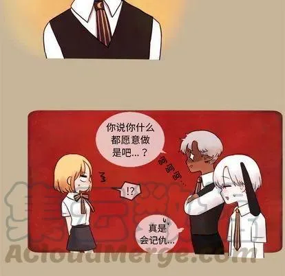 3 第43页