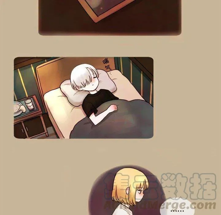 5 第19页