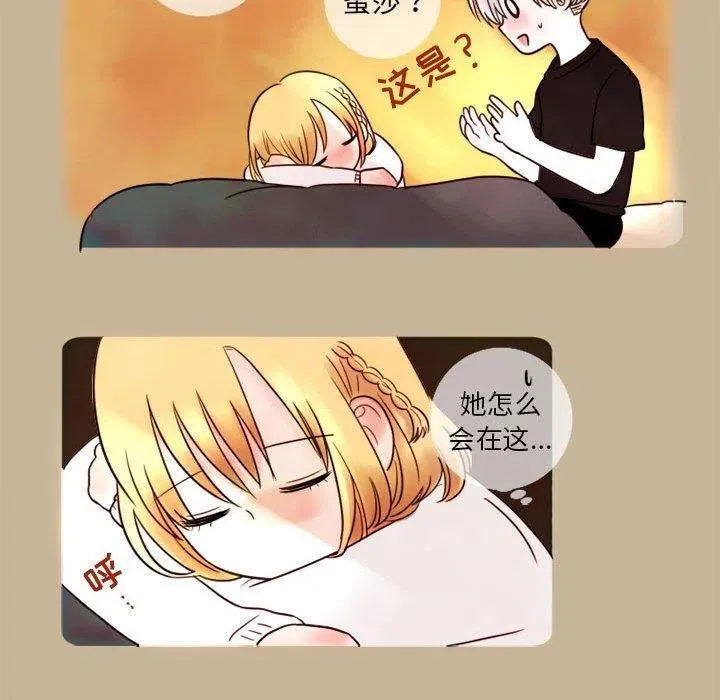 5 第29页