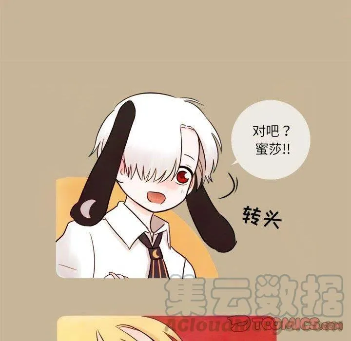 6 第7页