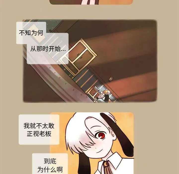 6 第11页