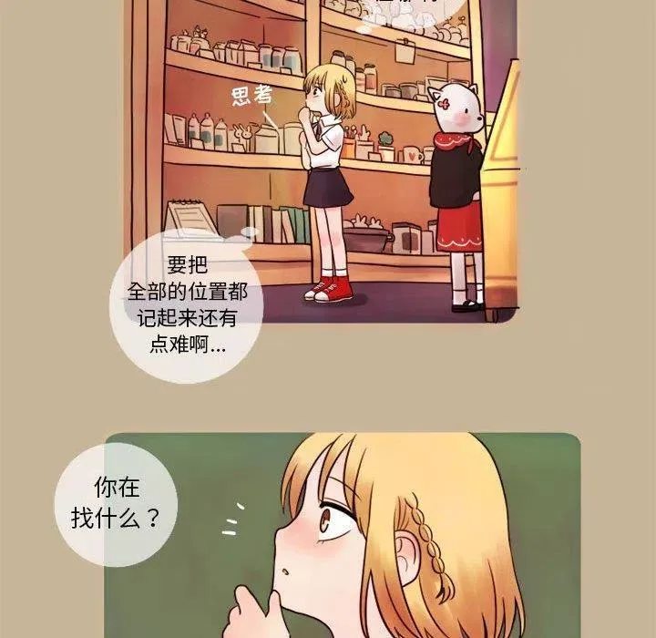 6 第17页
