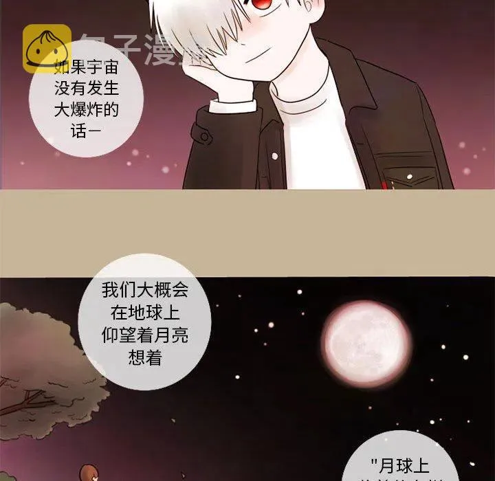 13 第41页