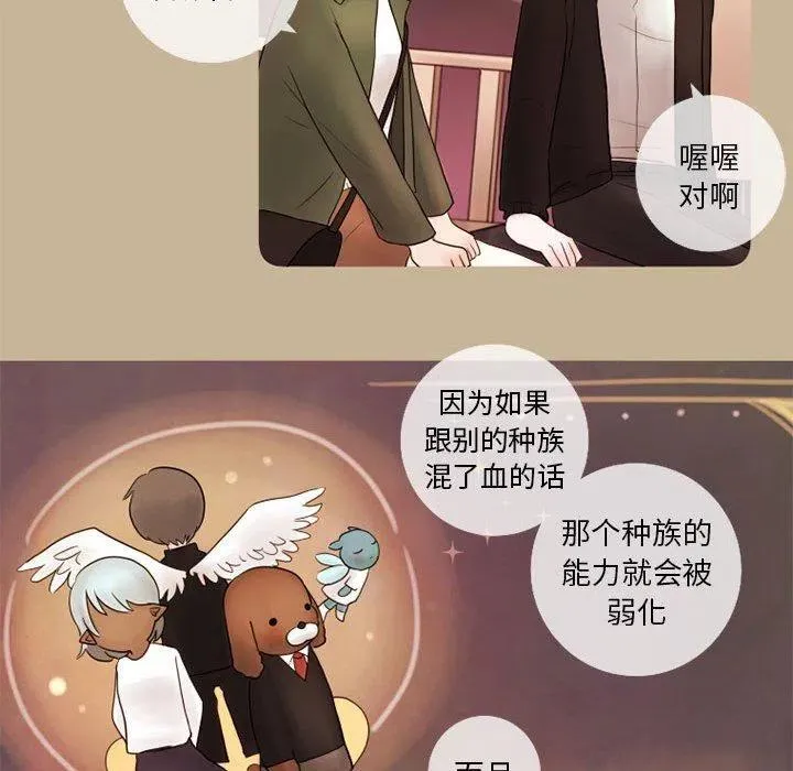 15 第24页