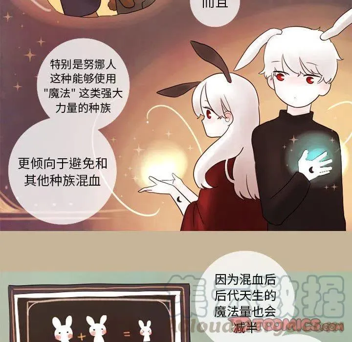 15 第25页