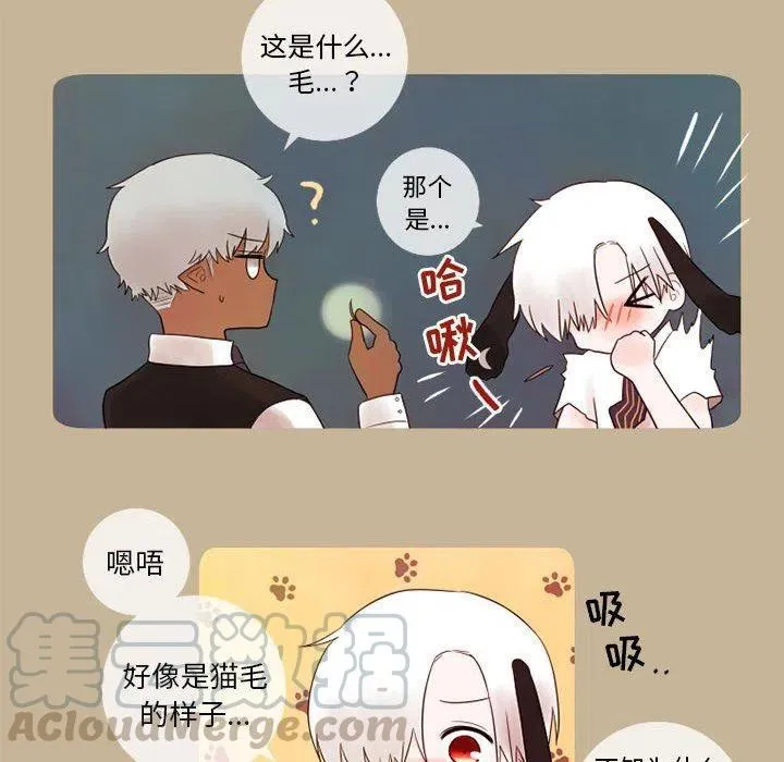 16 第16页