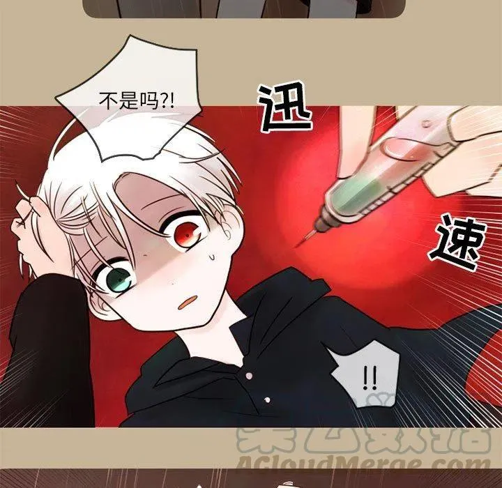 17 第7页