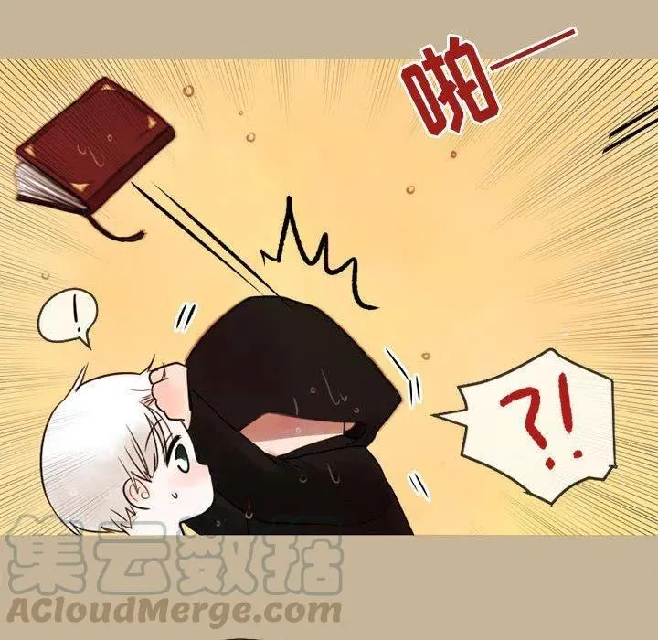 17 第13页