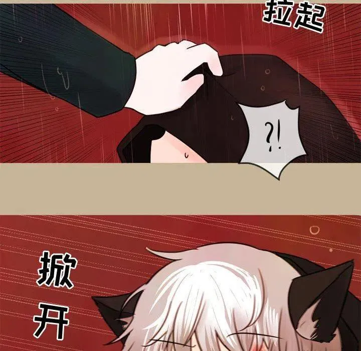 17 第21页