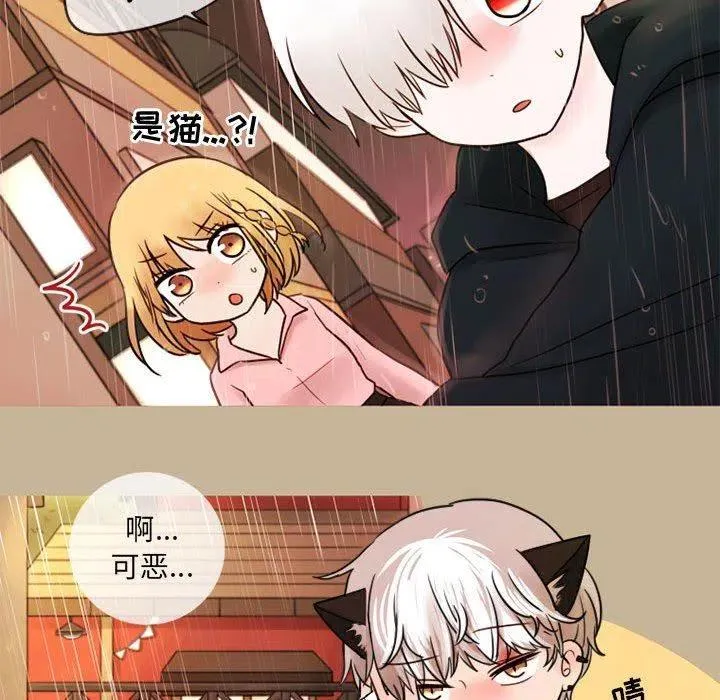 17 第23页