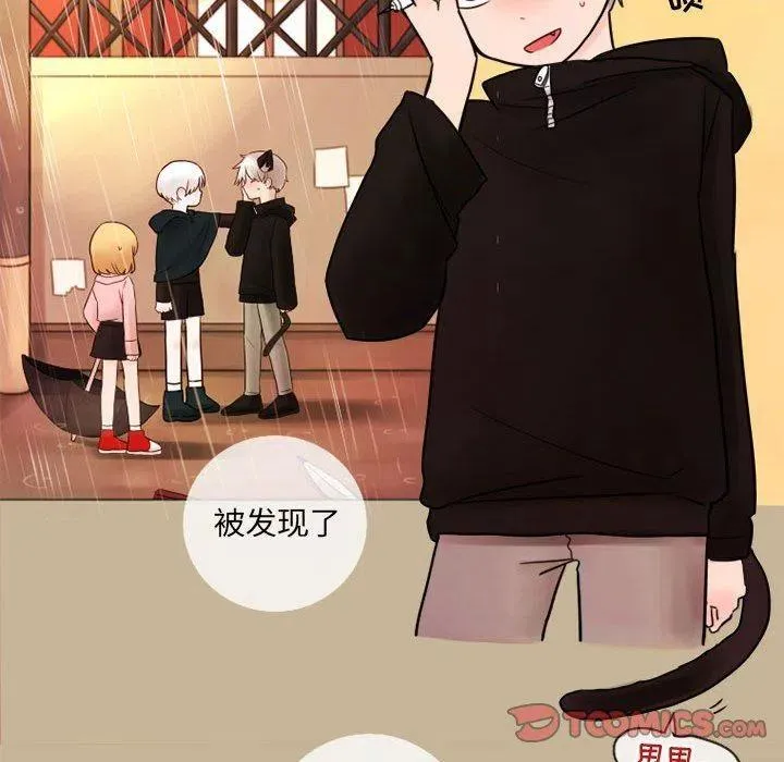 17 第24页