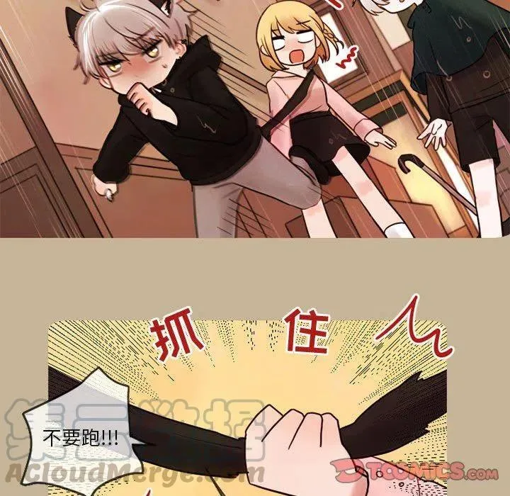 17 第28页