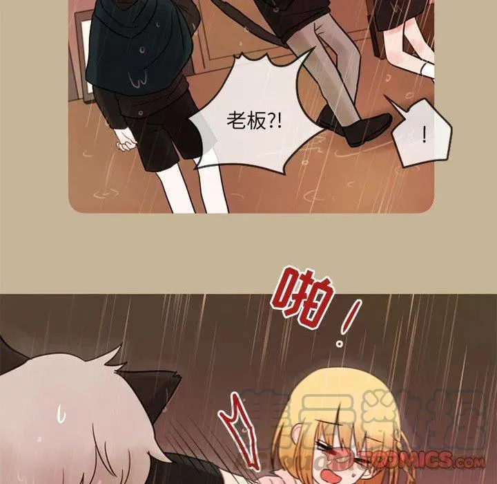 17 第34页