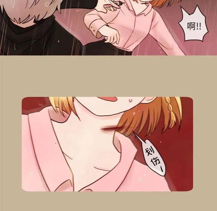 17 第35页