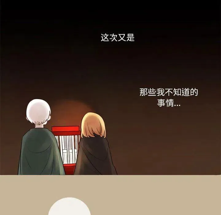 17 第63页