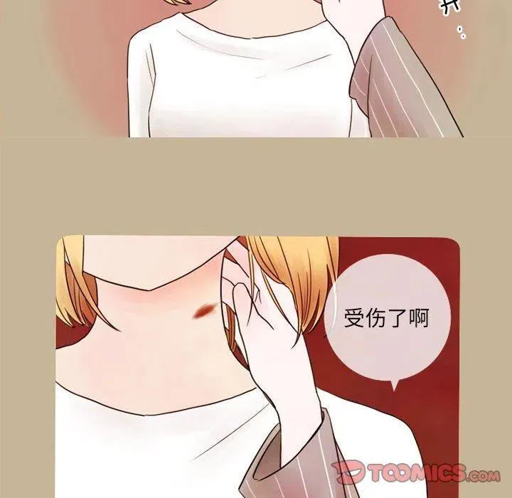 17 第68页